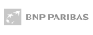 raty bnp